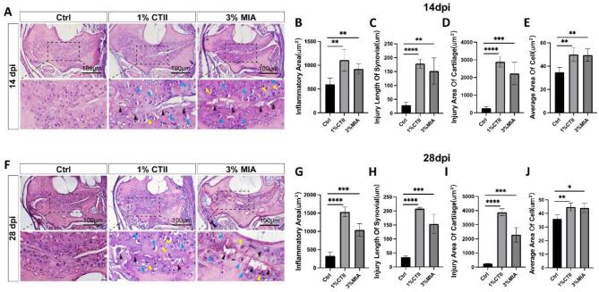 https://cdn.ncbi.nlm.nih.gov/pmc/blobs/84c4/11785742/fba3061f064b/41598_2025_88125_Fig3_HTML.jpg