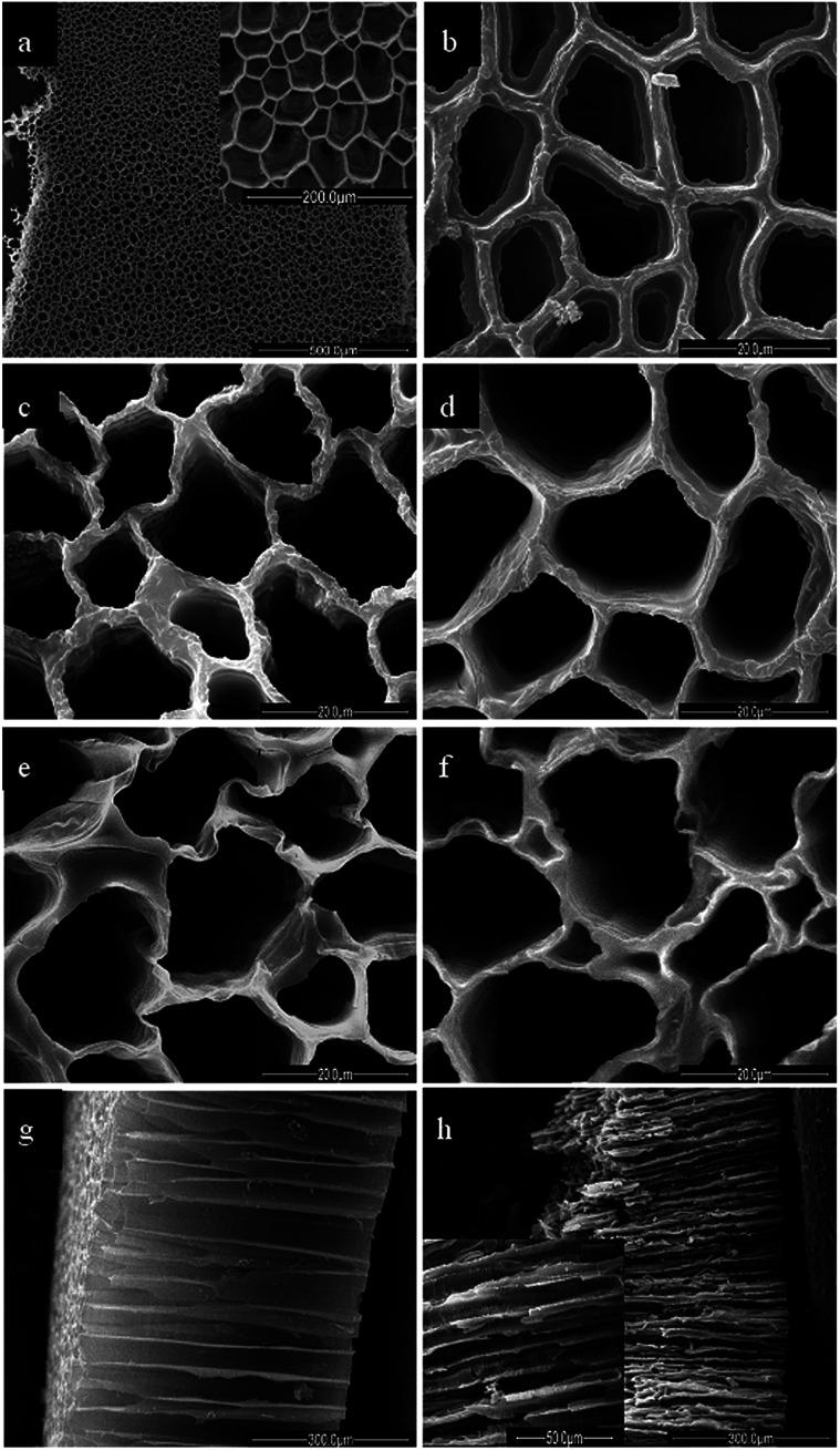 https://cdn.ncbi.nlm.nih.gov/pmc/blobs/84c4/9090561/948538254f17/c8ra08383e-f4.jpg