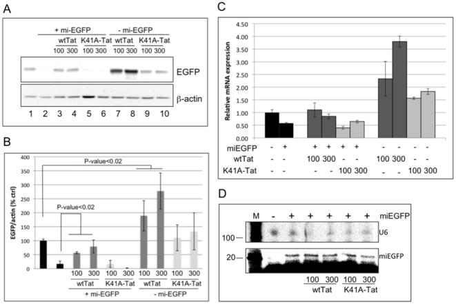 https://cdn.ncbi.nlm.nih.gov/pmc/blobs/84c5/3046114/2db371fd29dd/pone.0017246.g001.jpg