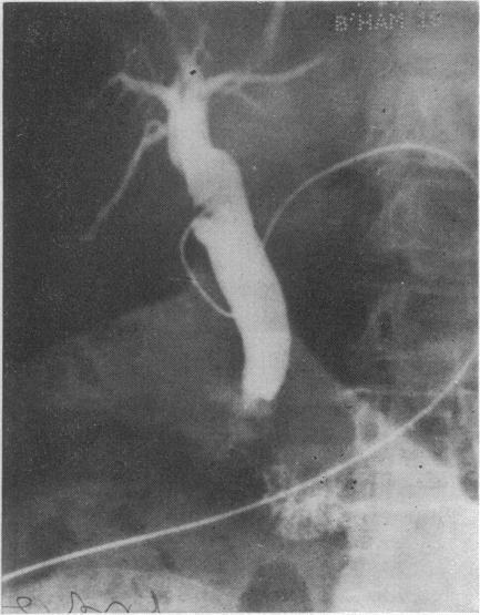 https://cdn.ncbi.nlm.nih.gov/pmc/blobs/84c7/2492157/d0e2c537d954/annrcse01491-0039-a.jpg