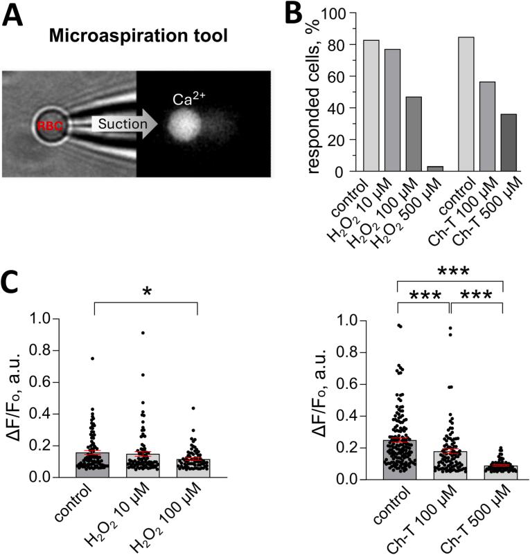 https://cdn.ncbi.nlm.nih.gov/pmc/blobs/84c8/12355560/7412babd2236/gr4.jpg