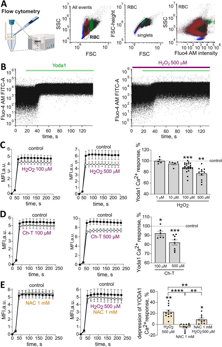 https://cdn.ncbi.nlm.nih.gov/pmc/blobs/84c8/12355560/90429ad0f9a3/gr1.jpg