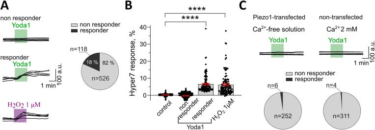 https://cdn.ncbi.nlm.nih.gov/pmc/blobs/84c8/12355560/ca7bfdadf30d/gr3.jpg