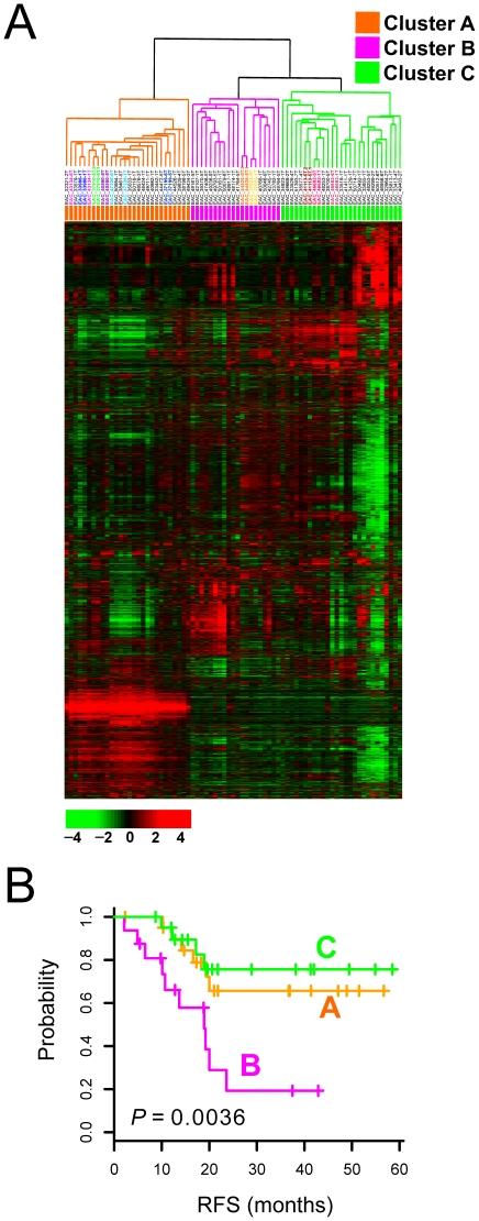 https://cdn.ncbi.nlm.nih.gov/pmc/blobs/84c8/2994829/5644e3b0a2a5/pone.0015074.g001.jpg