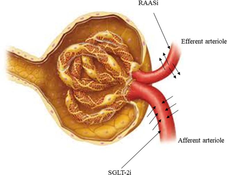 https://cdn.ncbi.nlm.nih.gov/pmc/blobs/84ca/10771977/918342390b7f/IJNRD-17-1-g0003.jpg