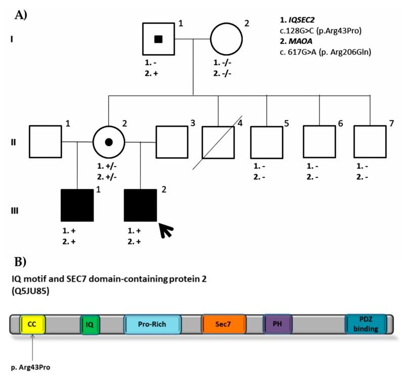 https://cdn.ncbi.nlm.nih.gov/pmc/blobs/84ca/7017351/230d128e8bec/genes-11-00051-g003.jpg