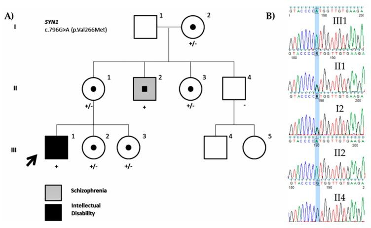 https://cdn.ncbi.nlm.nih.gov/pmc/blobs/84ca/7017351/33c5e6672347/genes-11-00051-g006.jpg