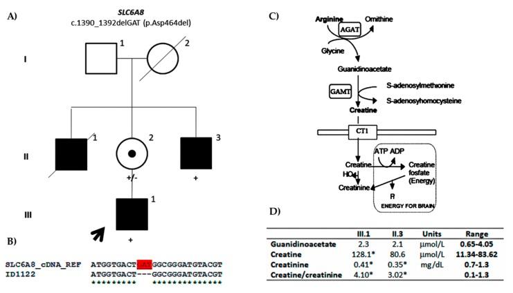 https://cdn.ncbi.nlm.nih.gov/pmc/blobs/84ca/7017351/40d835edb5b7/genes-11-00051-g002.jpg
