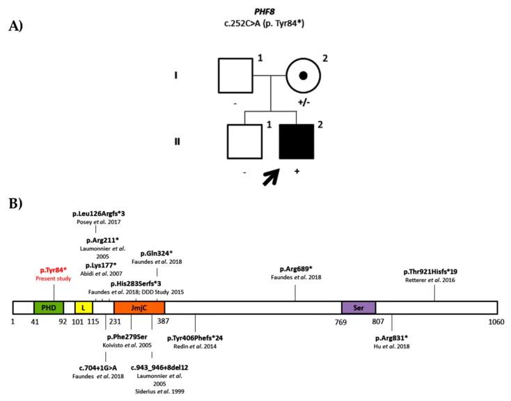 https://cdn.ncbi.nlm.nih.gov/pmc/blobs/84ca/7017351/51f7921b62d5/genes-11-00051-g001.jpg