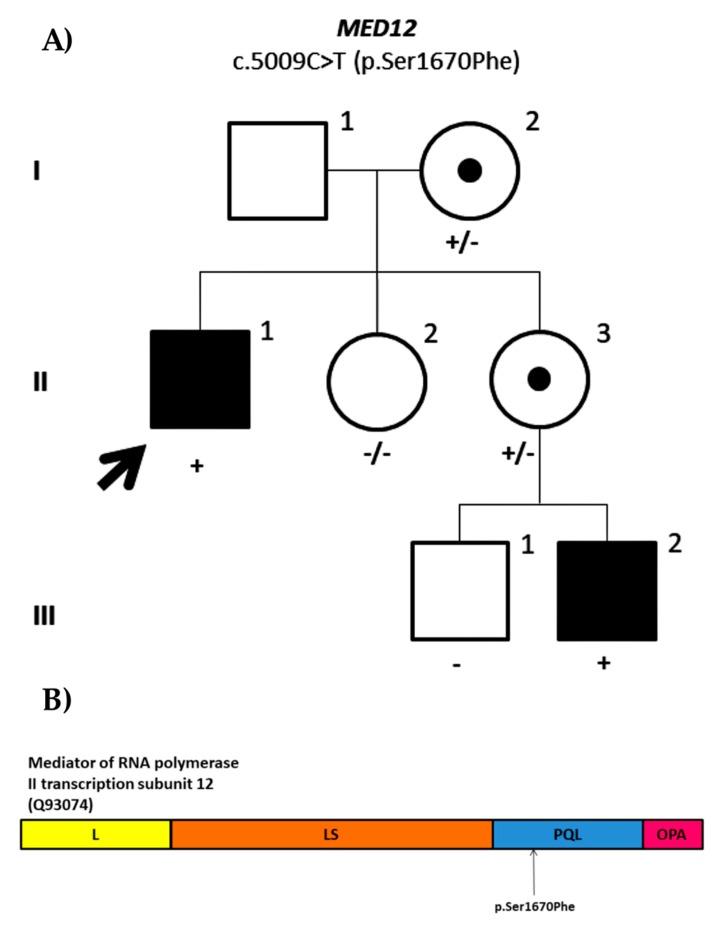 https://cdn.ncbi.nlm.nih.gov/pmc/blobs/84ca/7017351/cf4276aea6f1/genes-11-00051-g007.jpg