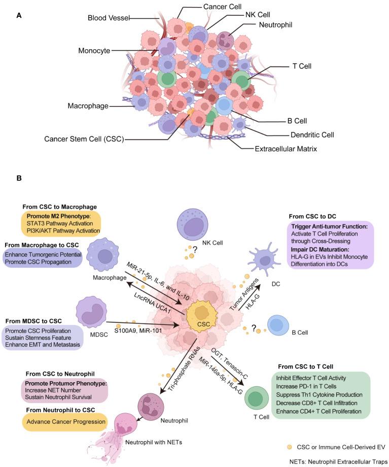 https://cdn.ncbi.nlm.nih.gov/pmc/blobs/84cb/11219812/20c2d60c667f/fimmu-15-1362120-g003.jpg