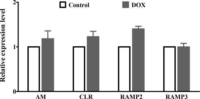 https://cdn.ncbi.nlm.nih.gov/pmc/blobs/84cd/12198741/10b28f3b8416/BCN-15-617-g005.jpg