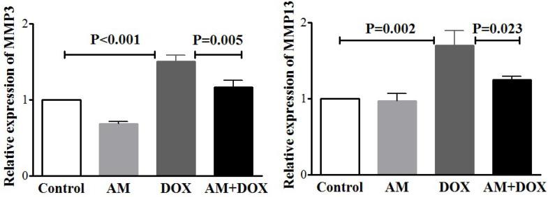 https://cdn.ncbi.nlm.nih.gov/pmc/blobs/84cd/12198741/4cbe3538a3ee/BCN-15-617-g009.jpg