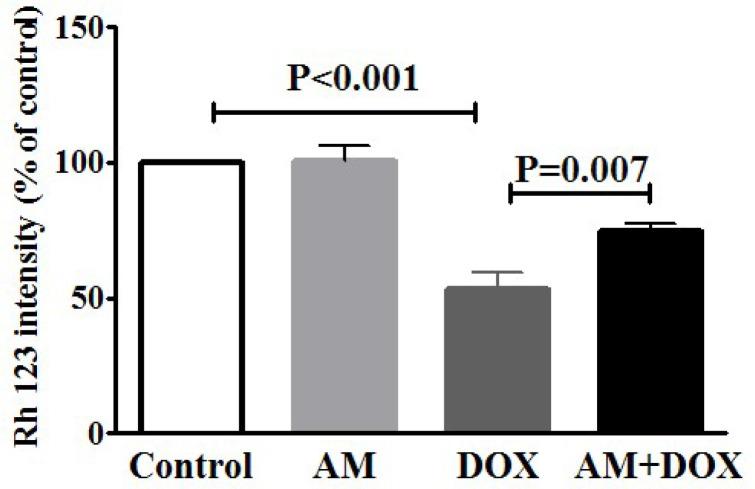 https://cdn.ncbi.nlm.nih.gov/pmc/blobs/84cd/12198741/9ad1dffad485/BCN-15-617-g007.jpg