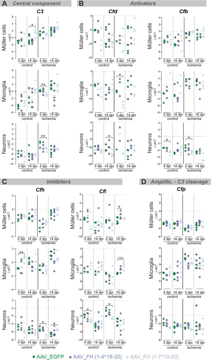 https://cdn.ncbi.nlm.nih.gov/pmc/blobs/84ce/10885619/74ec2a645bde/12974_2024_3045_Fig5_HTML.jpg