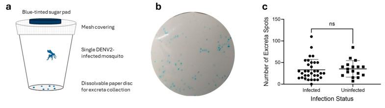 https://cdn.ncbi.nlm.nih.gov/pmc/blobs/84ce/11769354/d8c7dbc5c6fe/pathogens-14-00042-g001.jpg