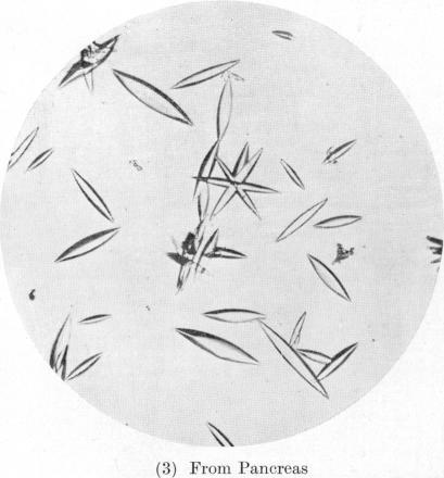 https://cdn.ncbi.nlm.nih.gov/pmc/blobs/84ce/1259515/c89ae82f18d7/biochemj01159-0081-c.jpg