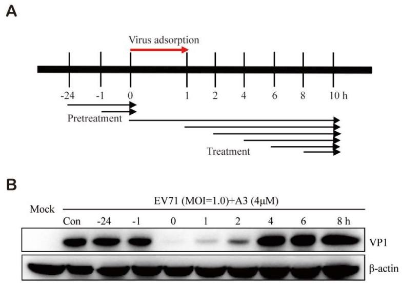 https://cdn.ncbi.nlm.nih.gov/pmc/blobs/84d0/6429200/b991fb064a00/molecules-24-00985-g003.jpg