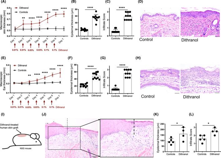 https://cdn.ncbi.nlm.nih.gov/pmc/blobs/84d0/8247942/84755c58ecc7/EXD-30-841-g002.jpg