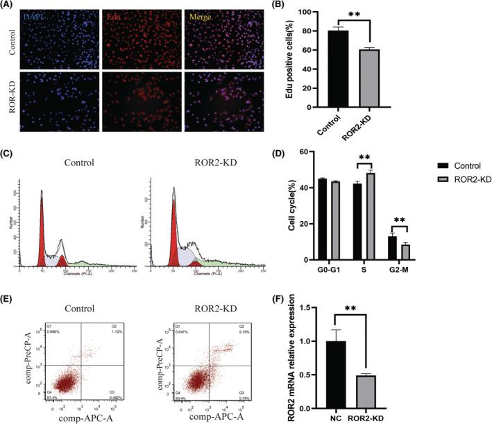 https://cdn.ncbi.nlm.nih.gov/pmc/blobs/84d1/10660643/2591aea5bf49/JCMM-27-3539-g003.jpg