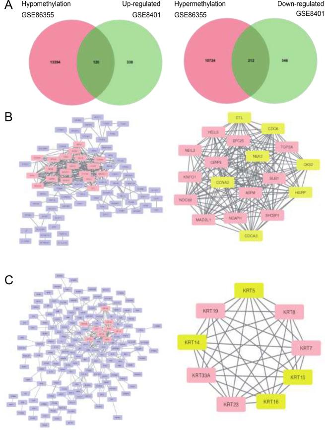 https://cdn.ncbi.nlm.nih.gov/pmc/blobs/84d2/11272740/3a89f09c5377/432_2024_5851_Fig1_HTML.jpg