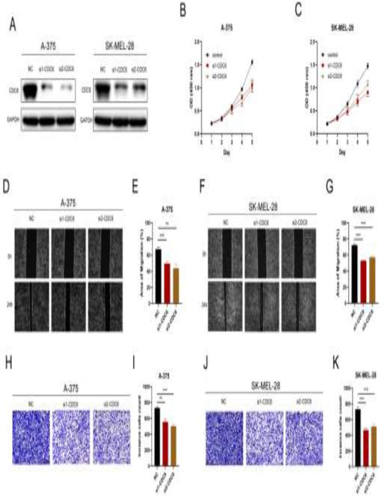https://cdn.ncbi.nlm.nih.gov/pmc/blobs/84d2/11272740/5d2dcf61c182/432_2024_5851_Fig7_HTML.jpg