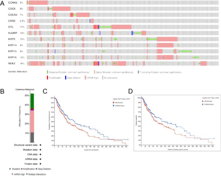 https://cdn.ncbi.nlm.nih.gov/pmc/blobs/84d2/11272740/c5ea2c78898a/432_2024_5851_Fig4_HTML.jpg
