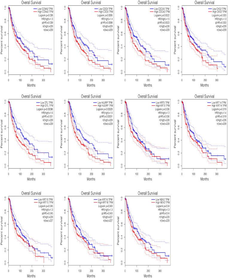 https://cdn.ncbi.nlm.nih.gov/pmc/blobs/84d2/11272740/c7fdb74d4ff3/432_2024_5851_Fig3_HTML.jpg
