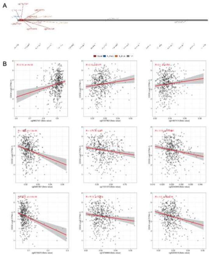 https://cdn.ncbi.nlm.nih.gov/pmc/blobs/84d2/11272740/e35ee1748454/432_2024_5851_Fig6_HTML.jpg