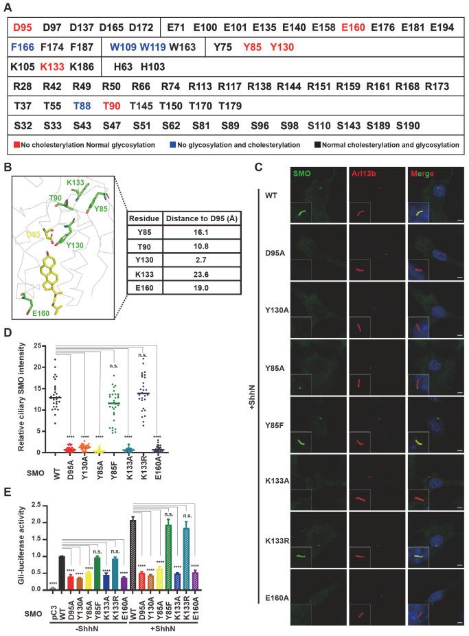 https://cdn.ncbi.nlm.nih.gov/pmc/blobs/84d2/9828284/7eb297d30168/ABBS-2022-246-t6.jpg