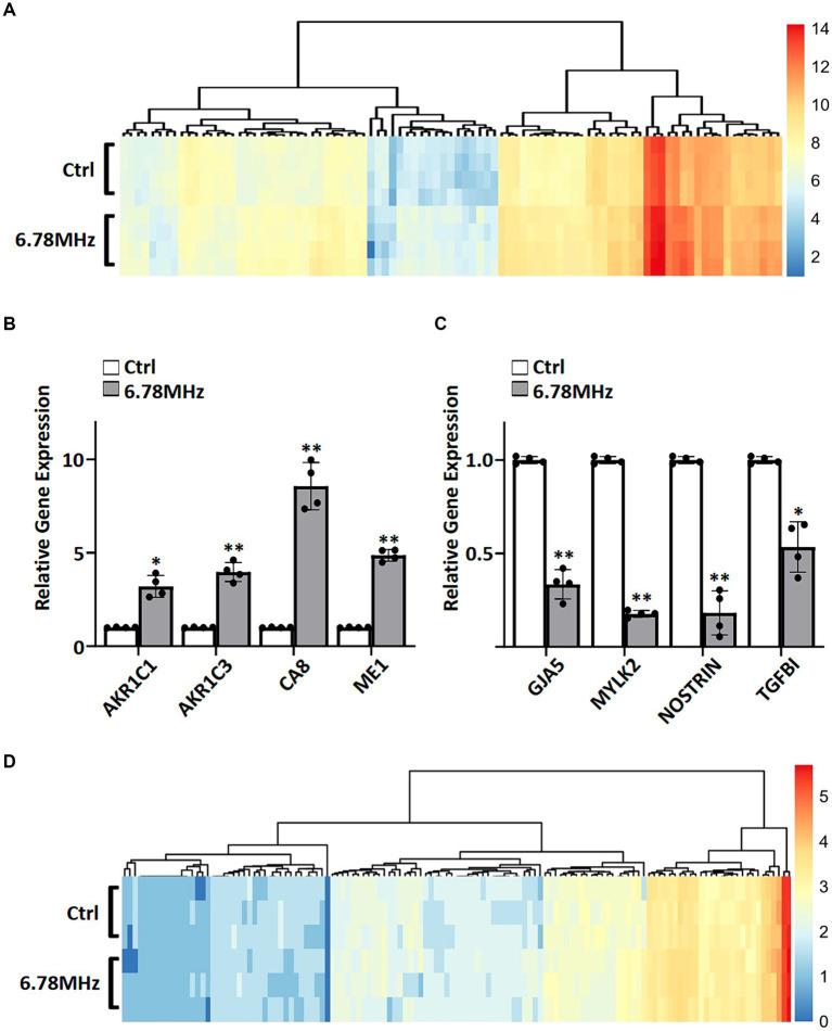 https://cdn.ncbi.nlm.nih.gov/pmc/blobs/84d3/11341370/17d00e801783/fpubh-12-1425023-g002.jpg