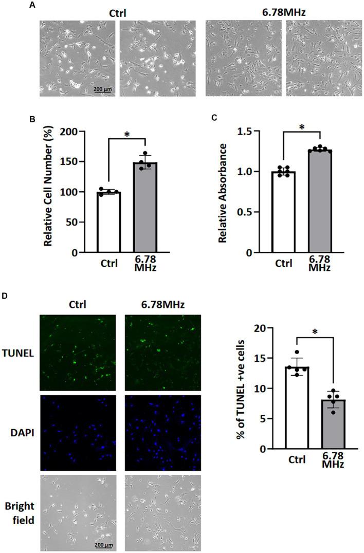 https://cdn.ncbi.nlm.nih.gov/pmc/blobs/84d3/11341370/8c313ace2394/fpubh-12-1425023-g001.jpg