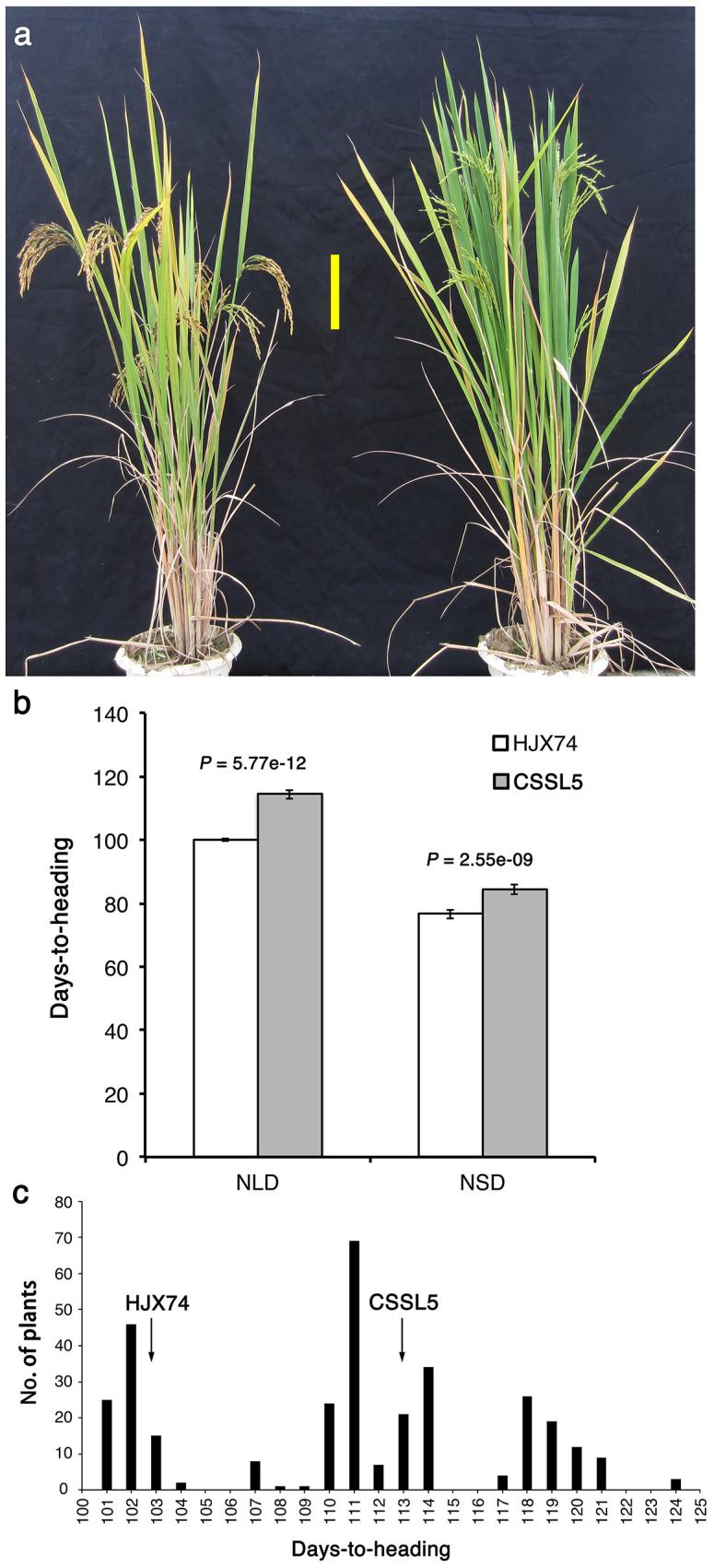 https://cdn.ncbi.nlm.nih.gov/pmc/blobs/84d3/3939452/5a4e9ea3d1d2/srep04263-f2.jpg