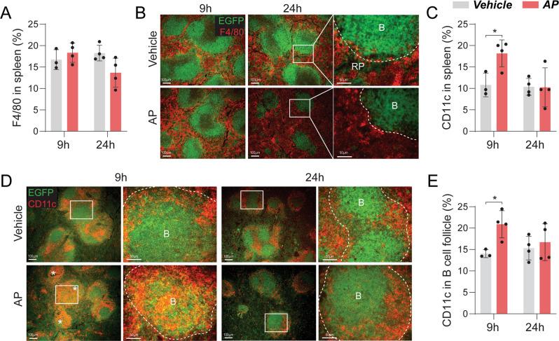 https://cdn.ncbi.nlm.nih.gov/pmc/blobs/84d3/9873735/51ef7c40e436/41419_2023_5594_Fig3_HTML.jpg