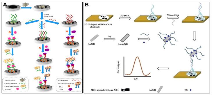 https://cdn.ncbi.nlm.nih.gov/pmc/blobs/84d5/10536827/33c50ddab9b9/molecules-28-06719-g006.jpg