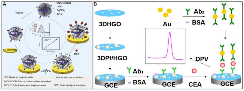 https://cdn.ncbi.nlm.nih.gov/pmc/blobs/84d5/10536827/8db5e40f5d2d/molecules-28-06719-g008.jpg