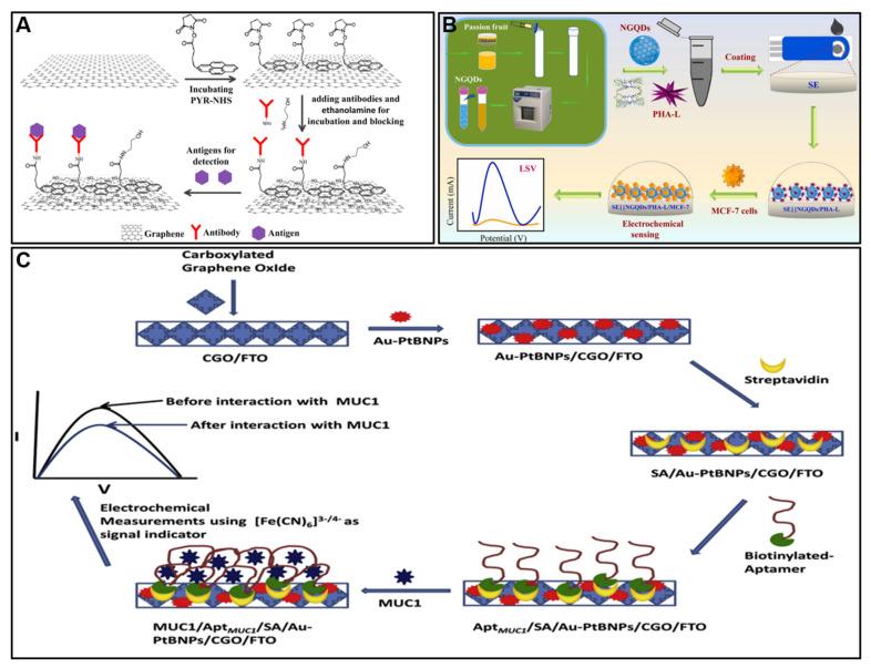 https://cdn.ncbi.nlm.nih.gov/pmc/blobs/84d5/10536827/cd187772c958/molecules-28-06719-g002.jpg