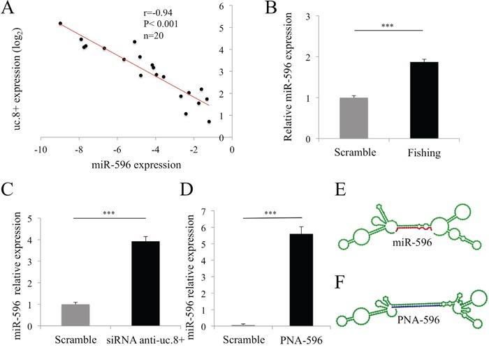 https://cdn.ncbi.nlm.nih.gov/pmc/blobs/84d5/4991481/0172a019f952/oncotarget-07-20636-g007.jpg
