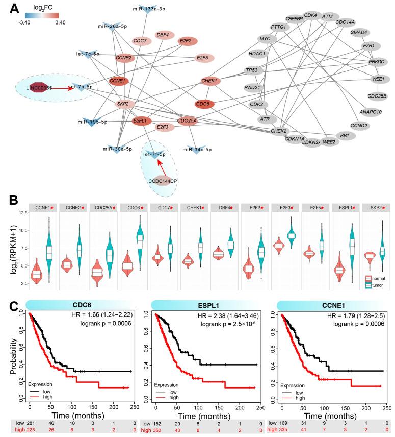 https://cdn.ncbi.nlm.nih.gov/pmc/blobs/84d7/11941865/8933fc701066/genes-16-00310-g005.jpg