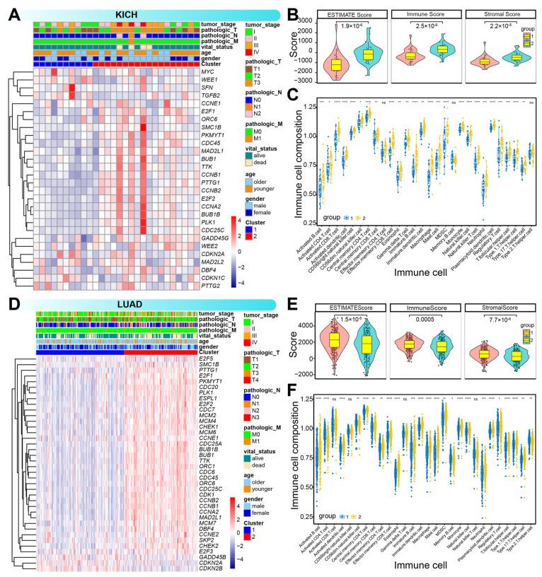 https://cdn.ncbi.nlm.nih.gov/pmc/blobs/84d7/11941865/d38786c653f9/genes-16-00310-g003.jpg