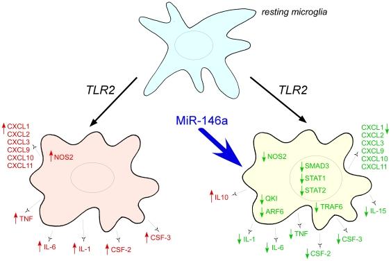 https://cdn.ncbi.nlm.nih.gov/pmc/blobs/84d7/3281888/215d3f232b87/pone.0030832.g008.jpg
