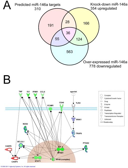https://cdn.ncbi.nlm.nih.gov/pmc/blobs/84d7/3281888/b9ea778938ce/pone.0030832.g006.jpg