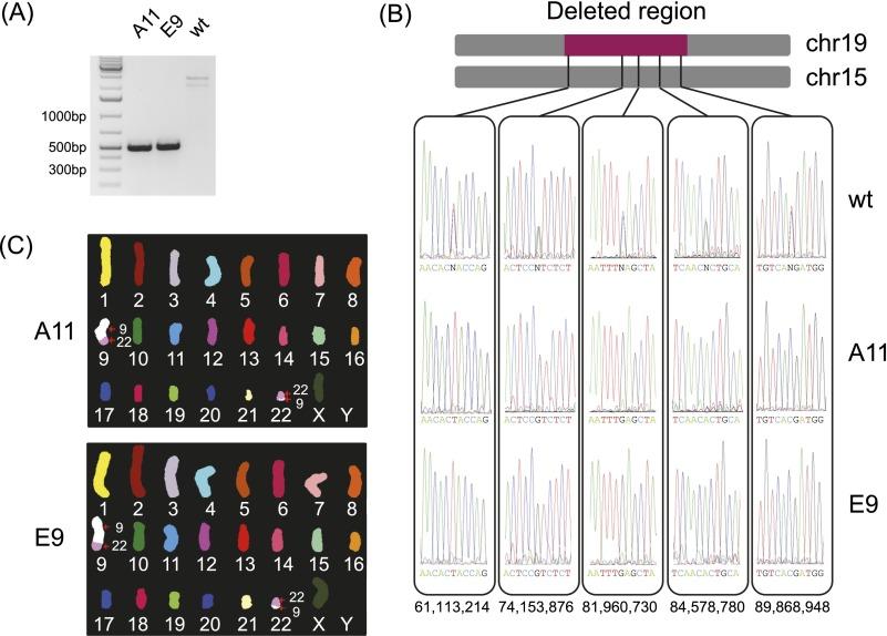 https://cdn.ncbi.nlm.nih.gov/pmc/blobs/84d7/4248322/50db2ec6289e/2059fig3.jpg
