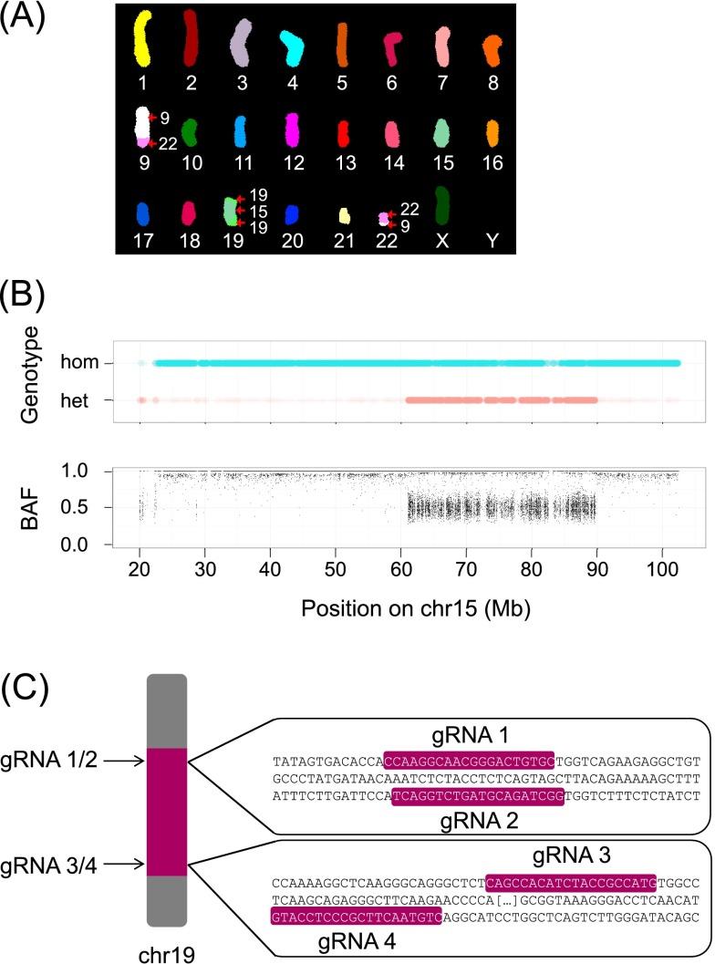 https://cdn.ncbi.nlm.nih.gov/pmc/blobs/84d7/4248322/b05a2b836824/2059fig1.jpg