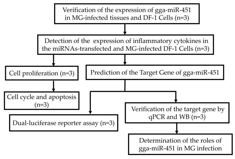 https://cdn.ncbi.nlm.nih.gov/pmc/blobs/84d7/5979595/63d59e7dbd79/ijms-19-01191-g009.jpg