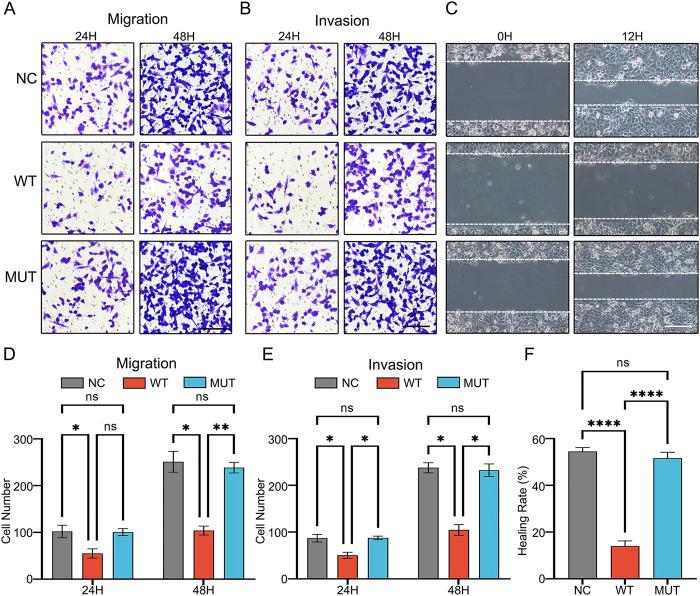 https://cdn.ncbi.nlm.nih.gov/pmc/blobs/84d9/12062016/1fd4a82420bb/fgene-16-1582504-g005.jpg