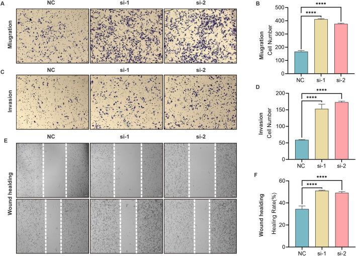 https://cdn.ncbi.nlm.nih.gov/pmc/blobs/84d9/12062016/8c3eb91287f2/fgene-16-1582504-g006.jpg