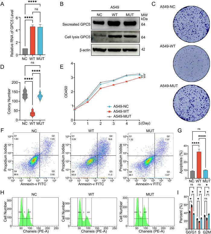 https://cdn.ncbi.nlm.nih.gov/pmc/blobs/84d9/12062016/cb0e03e6e8c7/fgene-16-1582504-g002.jpg