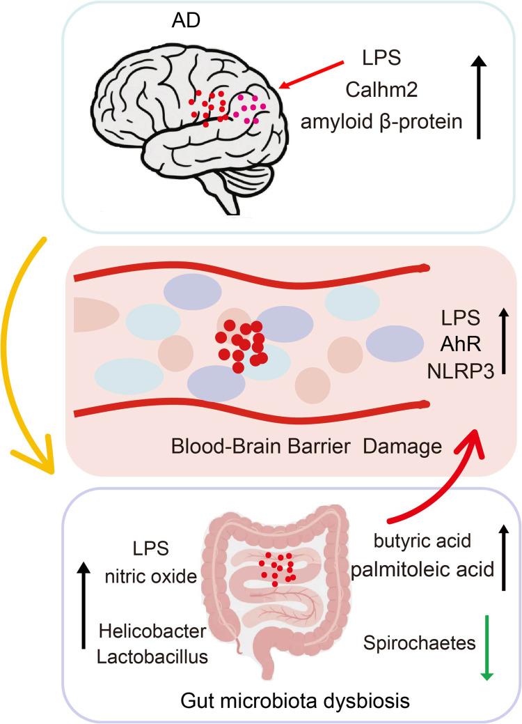 https://cdn.ncbi.nlm.nih.gov/pmc/blobs/84d9/12239926/10a976fba051/JIR-18-8851-g0001.jpg