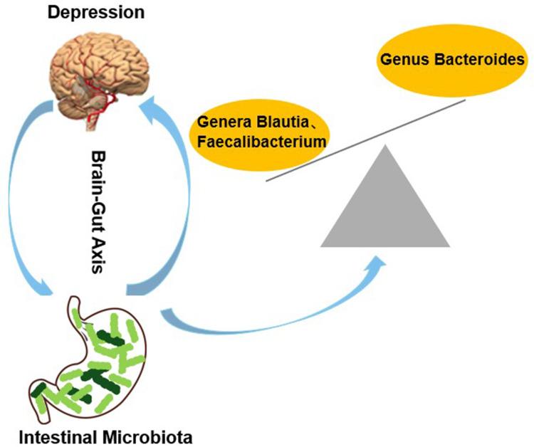 https://cdn.ncbi.nlm.nih.gov/pmc/blobs/84d9/12239926/5b128bcf31bc/JIR-18-8851-g0002.jpg